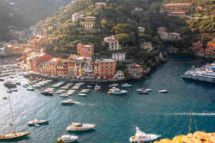 Mediterranean