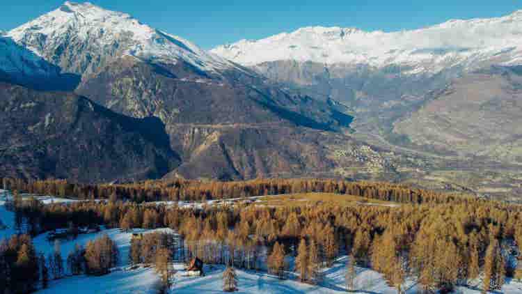 D'aosta