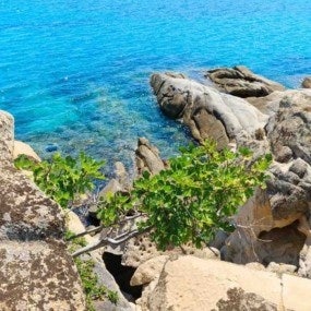 sea