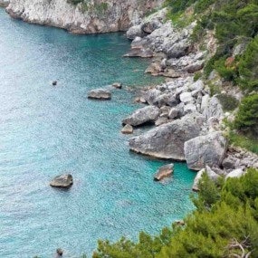 costal