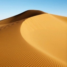 Sahara
