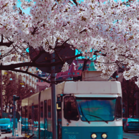 bus