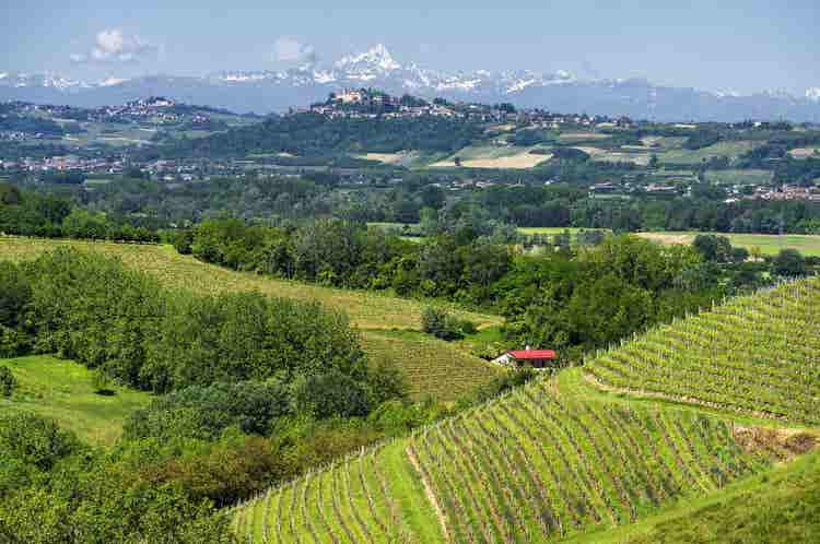 Piedmont Royal Heritage, Wine & Wellness Journey