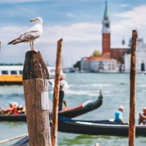 scenic view of venice