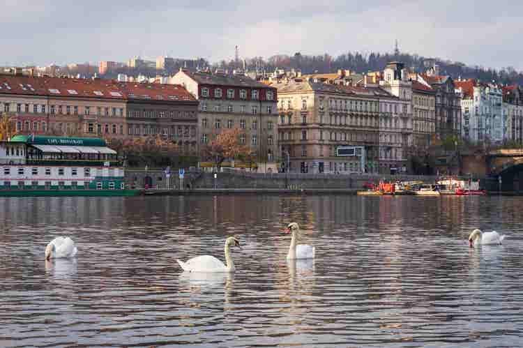 Prague – The Soul of Lager