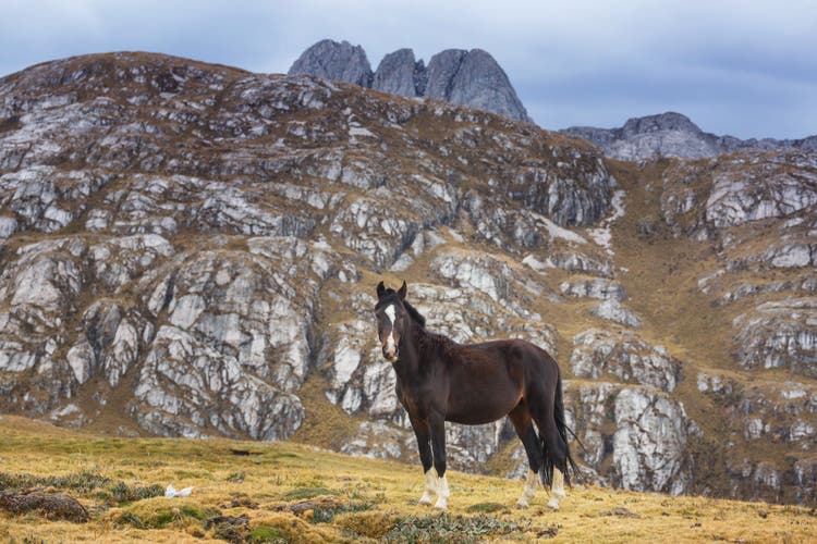 Connemara