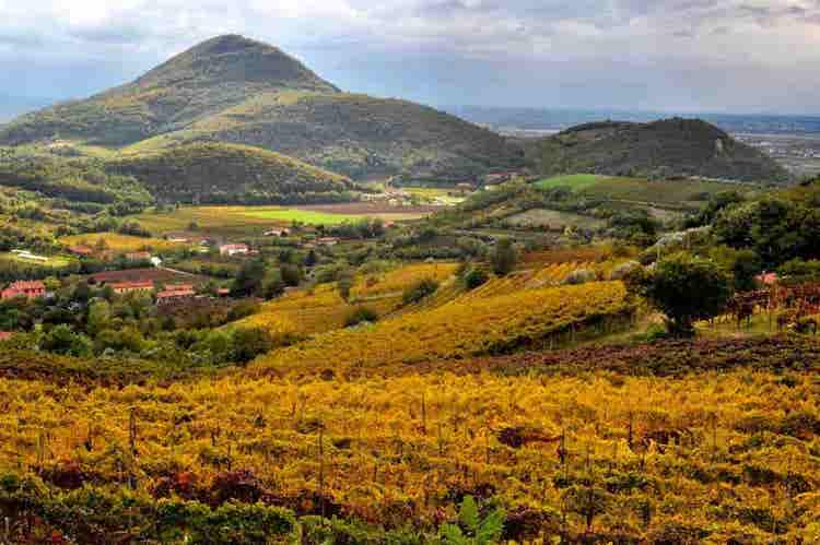 Golden Valley Panorama