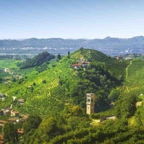 Prosecco Hills, vineyards panorama. Unesco Site. Valdobbiadene, Veneto