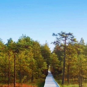 park