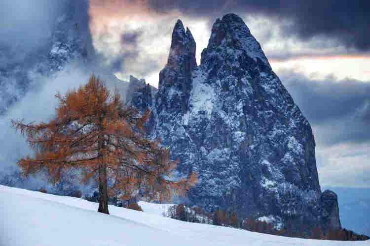 winter alpine