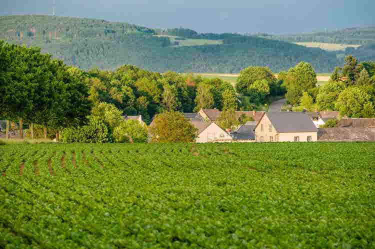 France Through Terroir