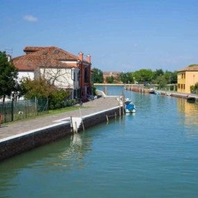 central canal of mozzorbo