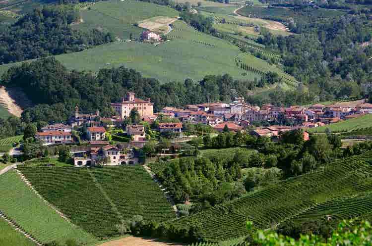Barolo