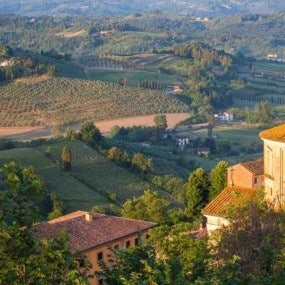 Rolling Tuscan Landscape with Golden Hour Glow