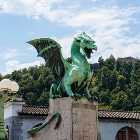 dragon