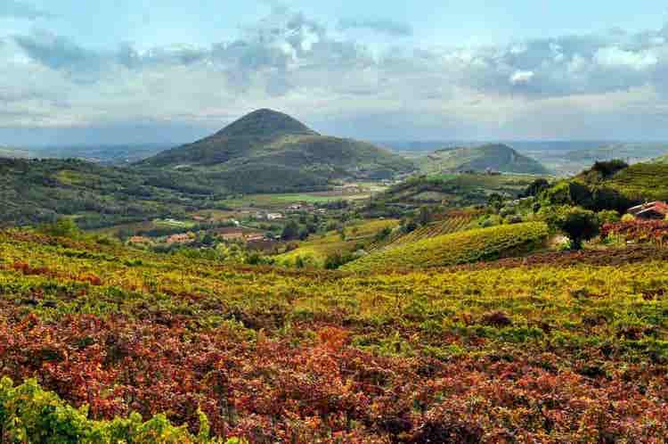 Central Volcanic Peak