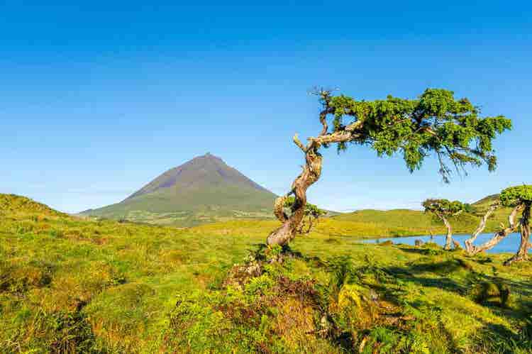 mount-pico